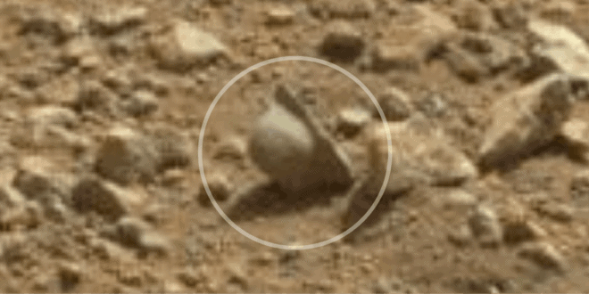 Mars NASA Curiosity Nazi Helmet